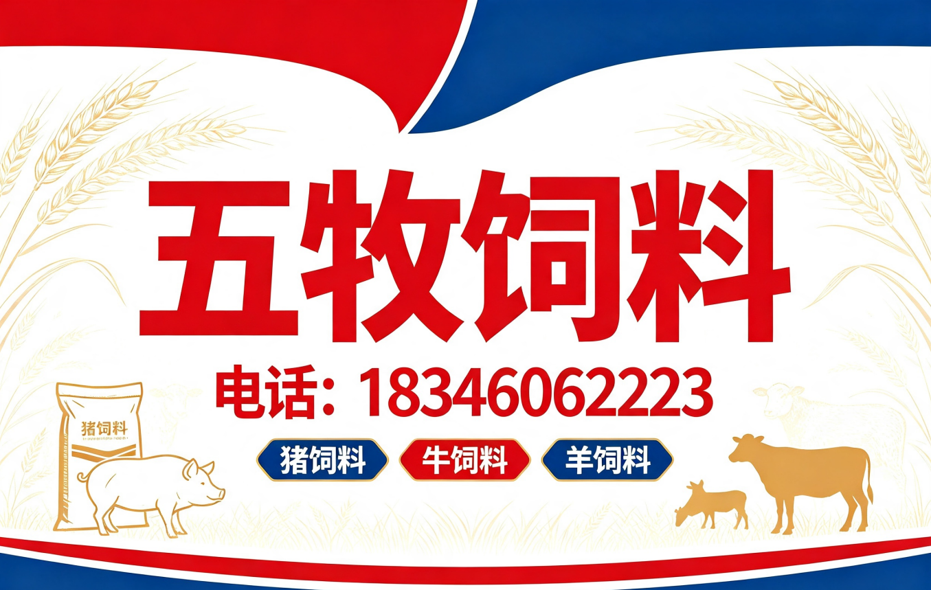 五牧双鸭山线上分站